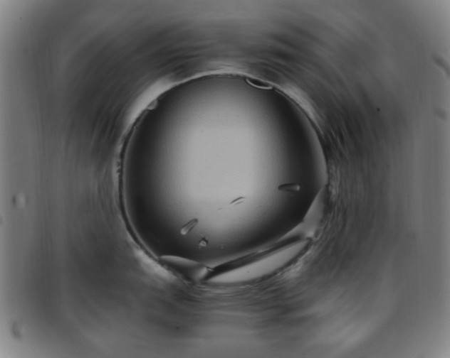 X0000097661151200803071526