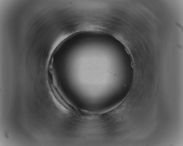 X0000097661152200803071526