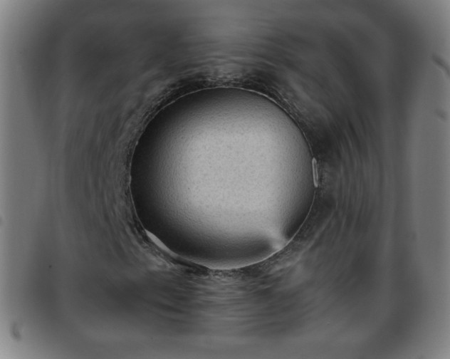 X0000097661153200803071525