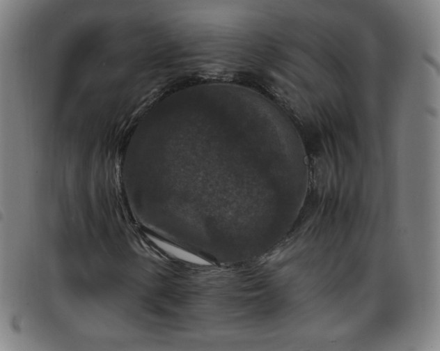X0000097661154200803071525