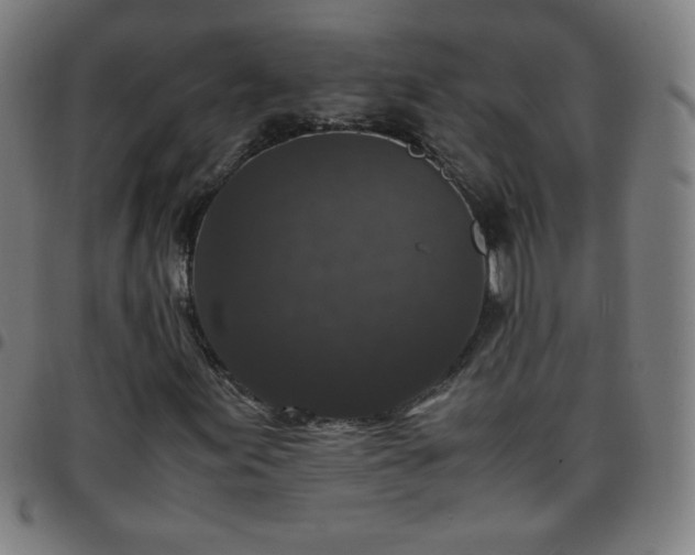 X0000097661155200803071525