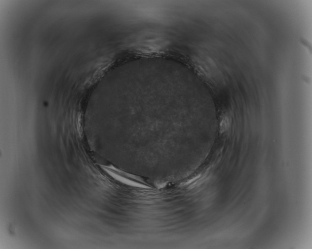 X0000097661156200803071525