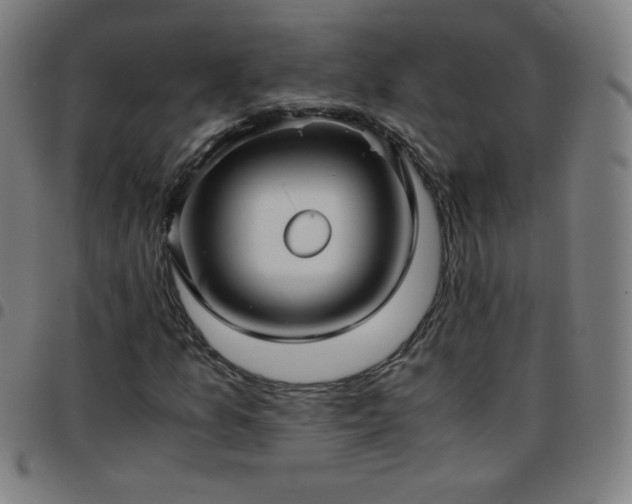 X0000097661157200803071525