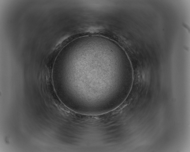X0000097661158200803071525