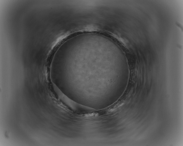 X0000097661160200803071525
