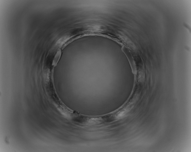 X0000097661161200803071525
