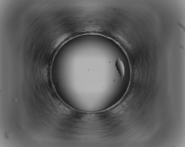 X0000097661162200803071525