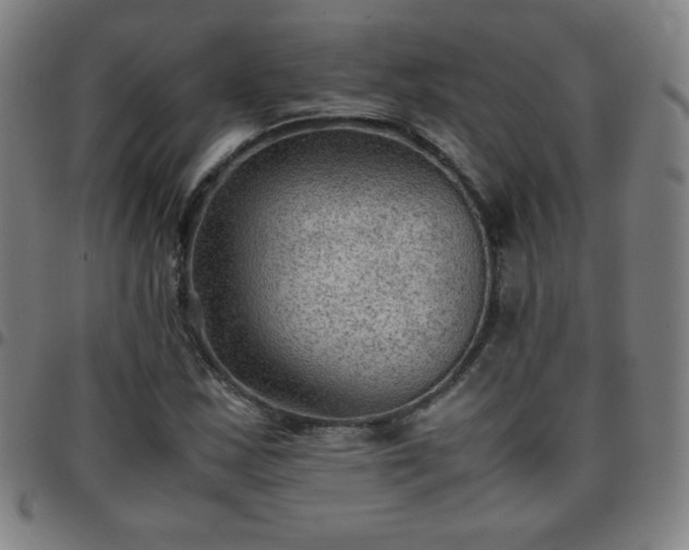 X0000097661163200803071525