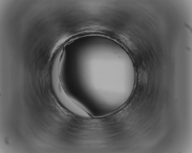 X0000097661164200803071525