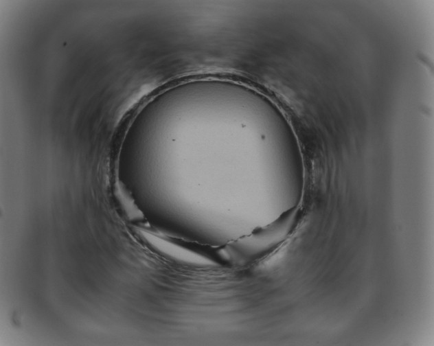X0000097661165200803071525