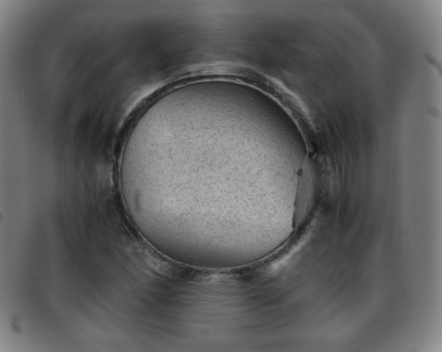 X0000097661166200803071525