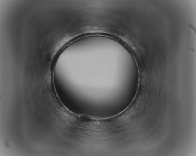 X0000097661167200803071525