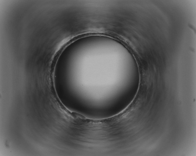 X0000097661168200803071525
