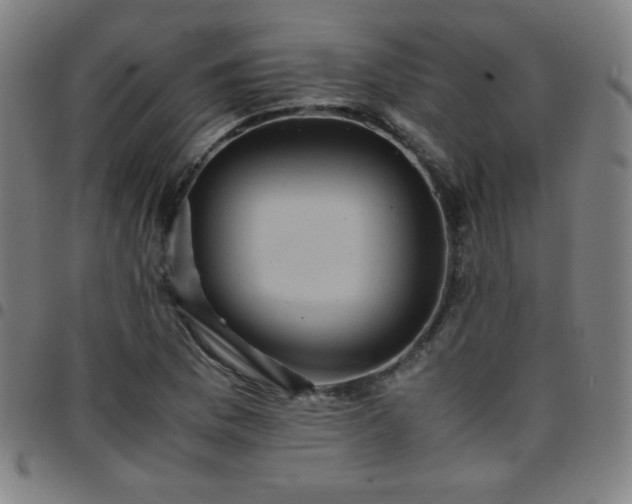 X0000097661169200803071525