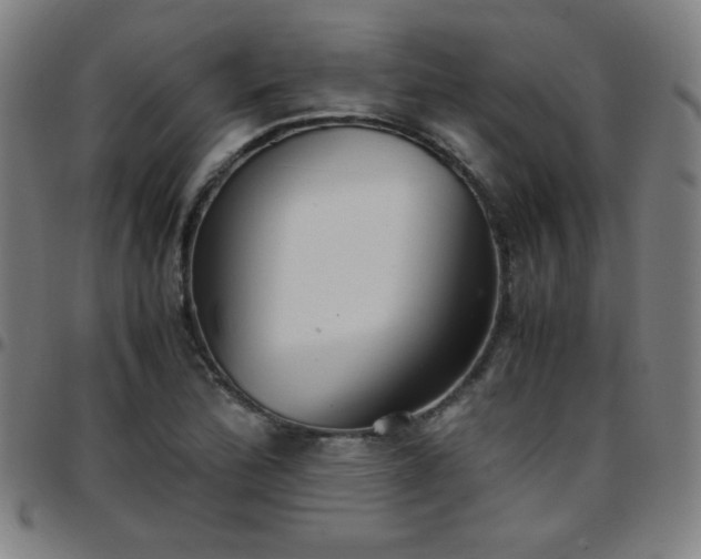 X0000097661172200803071525