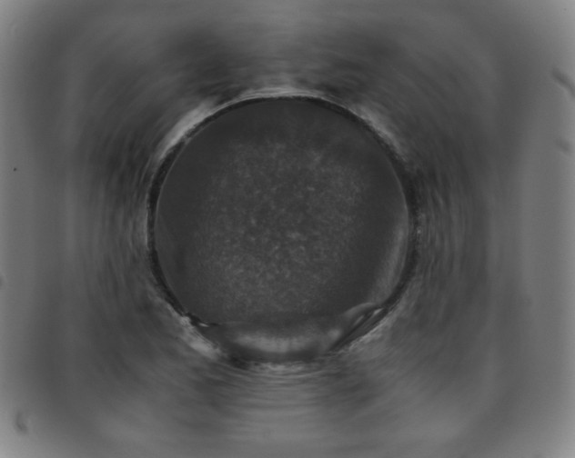 X0000097661173200803071525