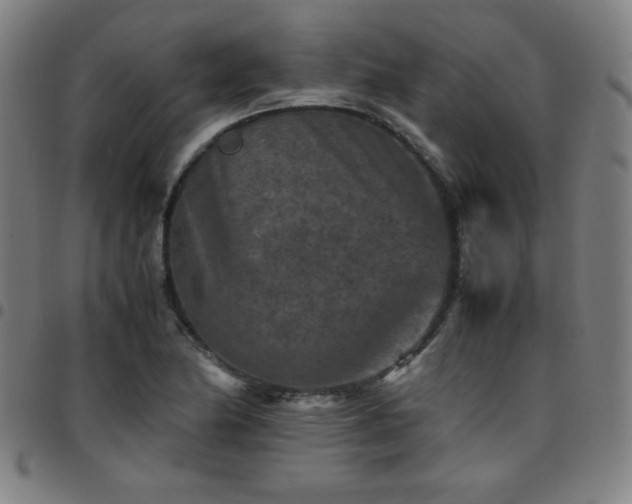 X0000097661174200803071525