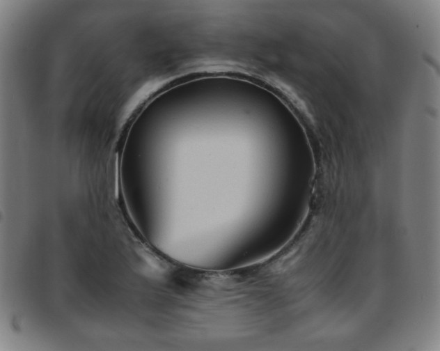 X0000097661175200803071525