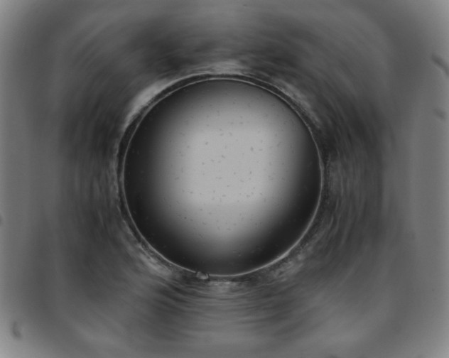 X0000097661176200803071525