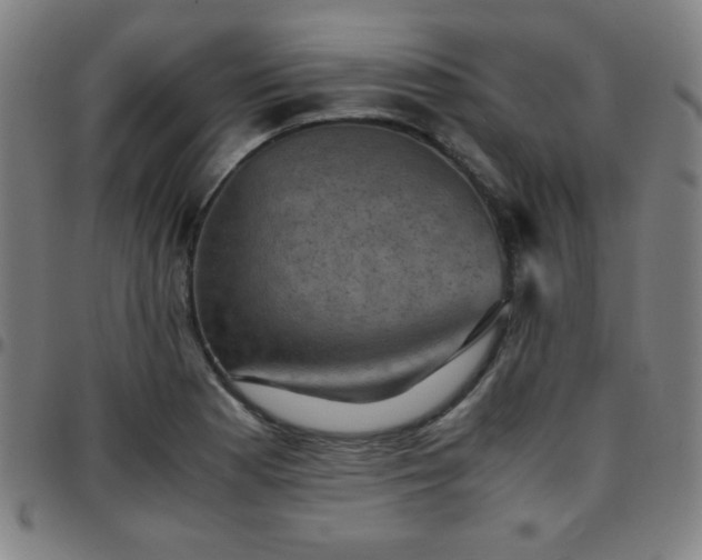 X0000097661177200803071525