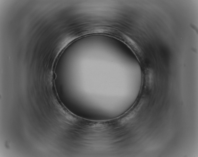 X0000097661178200803071525