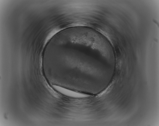 X0000097661179200803071525