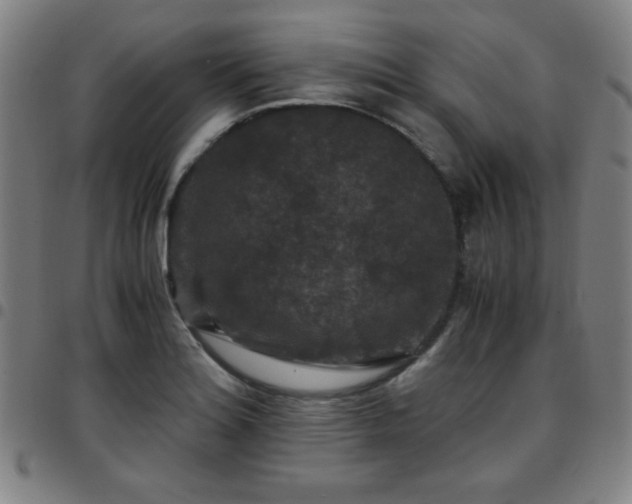 X0000097661180200803071525