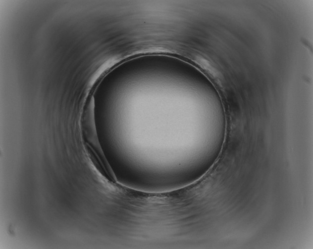 X0000097661181200803071525