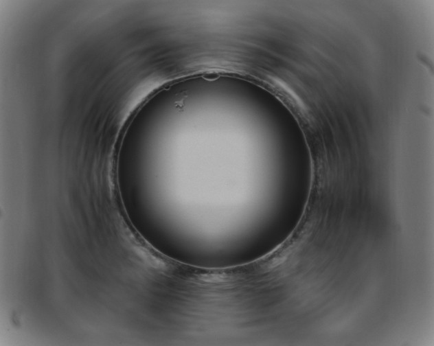 X0000097661182200803071525