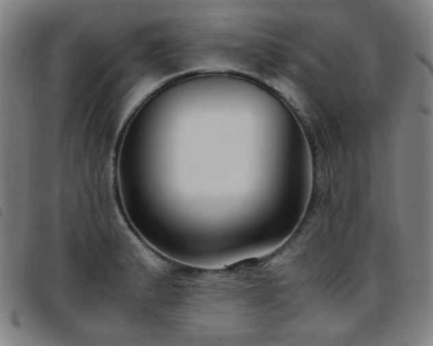 X0000097661183200803071525