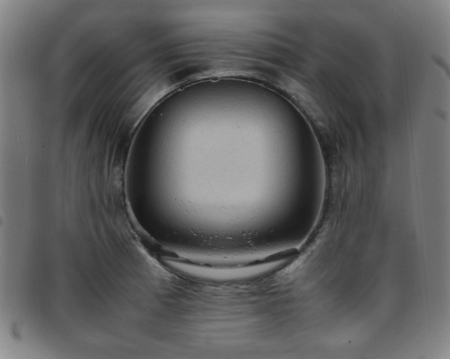 X0000097661185200803071525