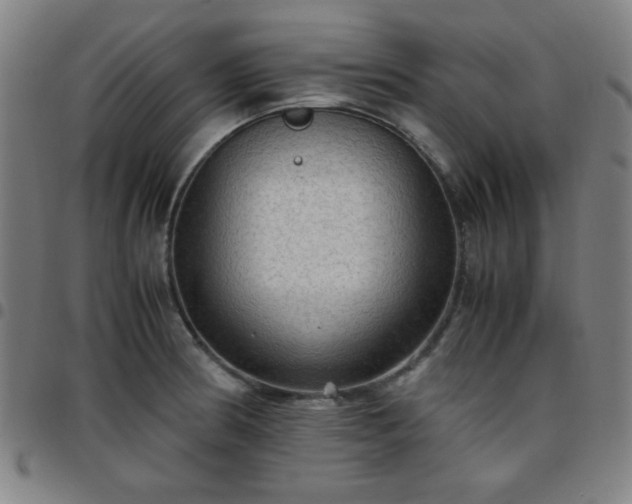 X0000097661186200803071525