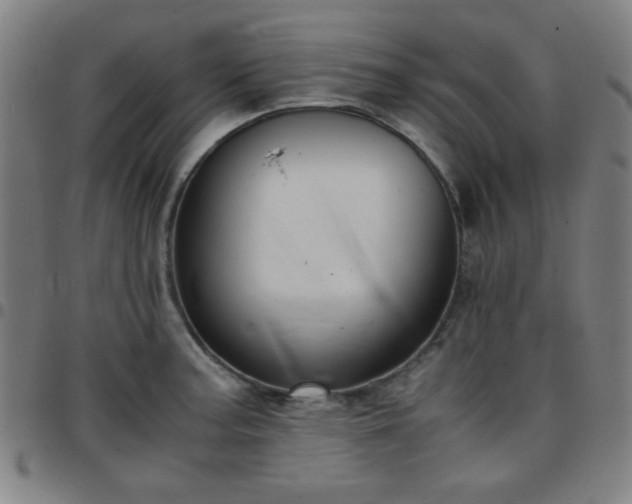 X0000097661187200803071525