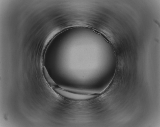 X0000097661188200803071525