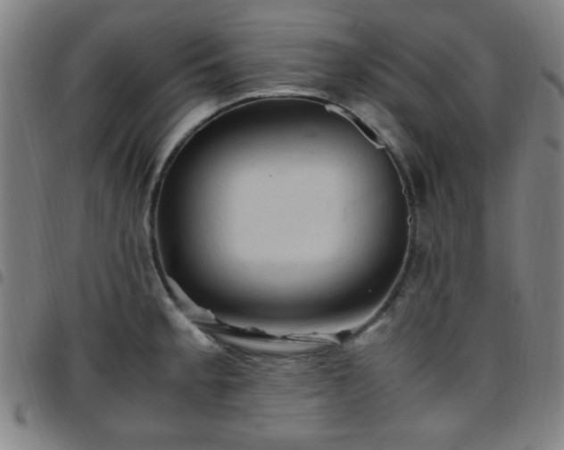X0000097661189200803071525