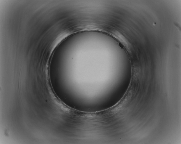 X0000097661190200803071525