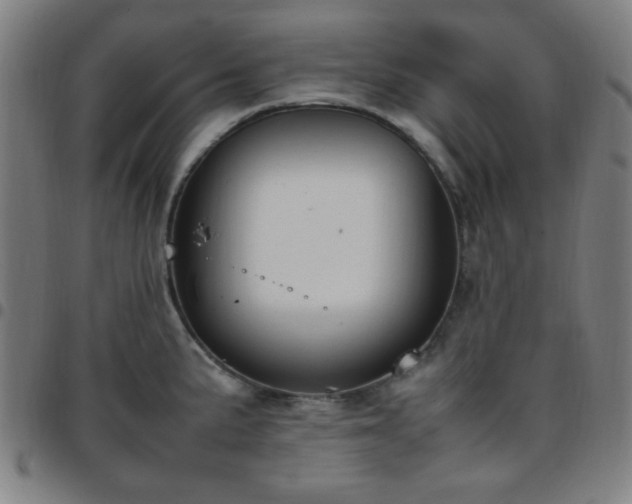 X0000097661191200803071525