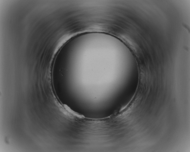 X0000097661192200803071525
