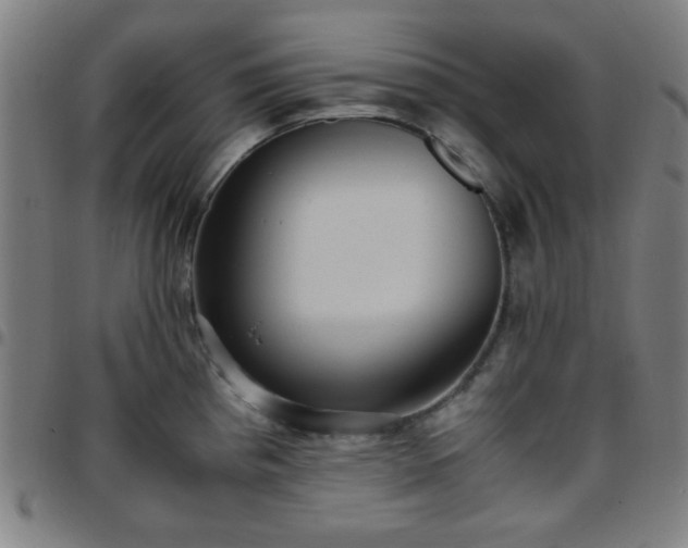 X0000097661193200803071525