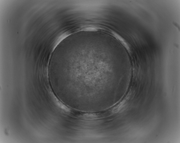 X0000097661194200803071525