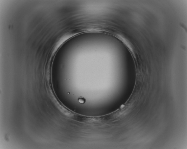 X0000097661195200803071525