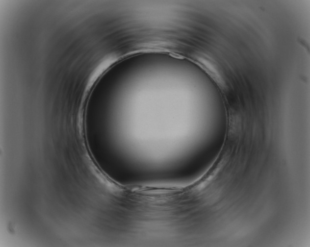 X0000097661196200803071525