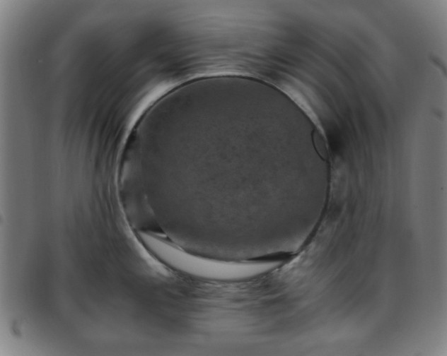 X0000097661197200803071525