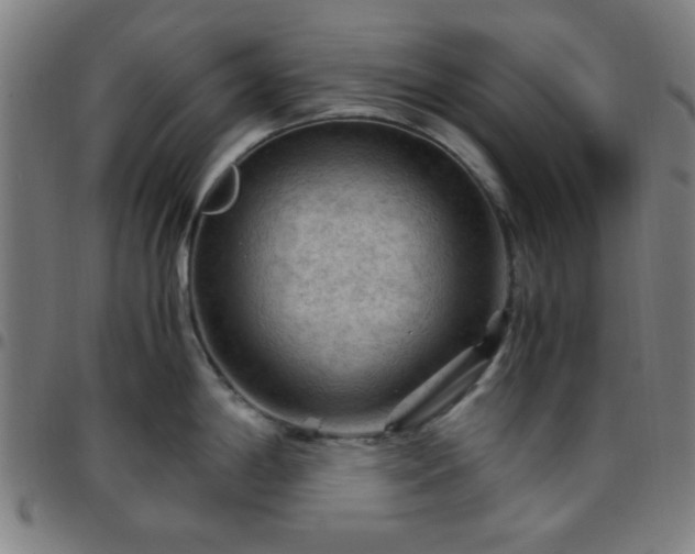 X0000097661198200803071525