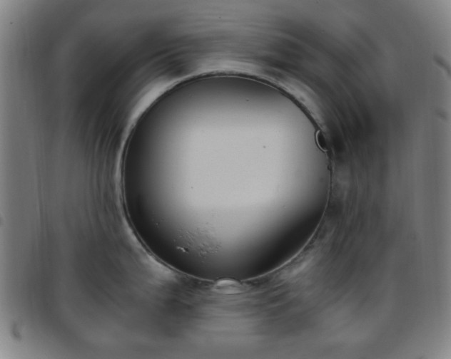 X0000097661199200803071525