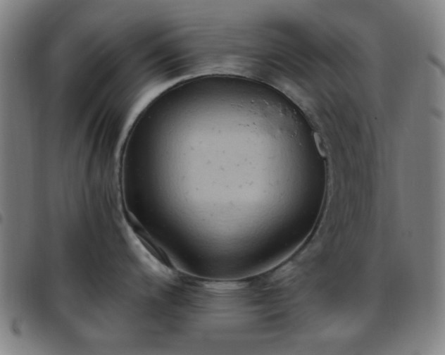 X0000097661200200803071525