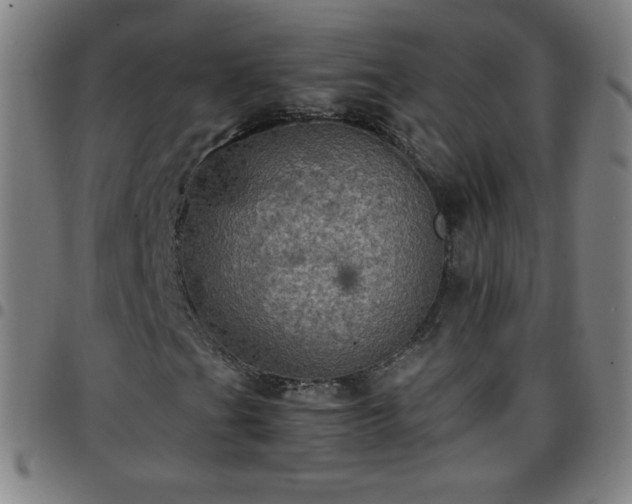 X0000097661201200803071524