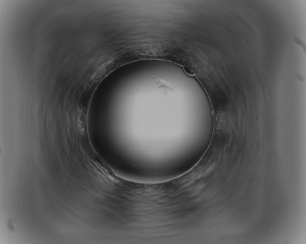 X0000097661202200803071524