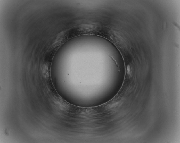 X0000097661203200803071524