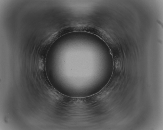 X0000097661204200803071524